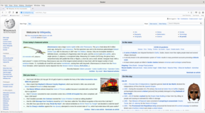 Beaker Browser screenshot of Wikipedia.png