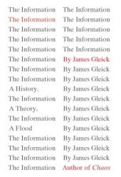 The Information Gleick 2011.jpg